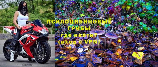 каннабис Покачи