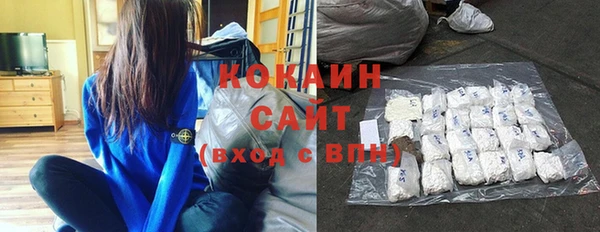 тгк Абаза