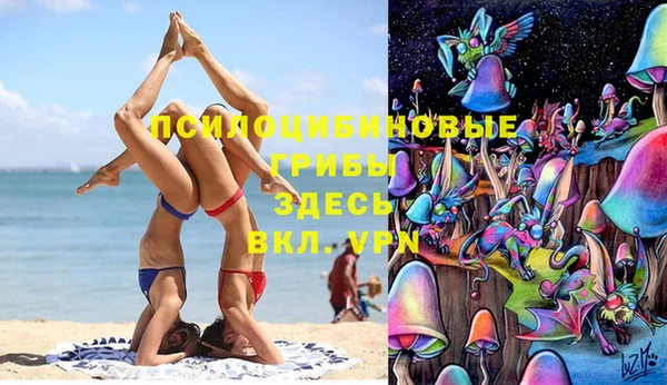 тгк Абаза