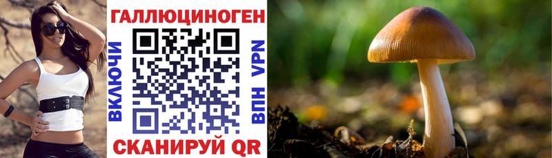 Галлюциногенные грибы MAGIC MUSHROOMS  Гагарин 